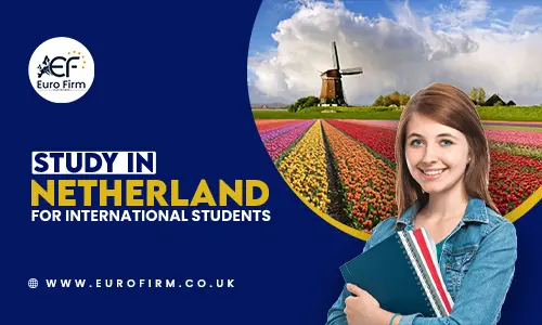 Study in Netherland